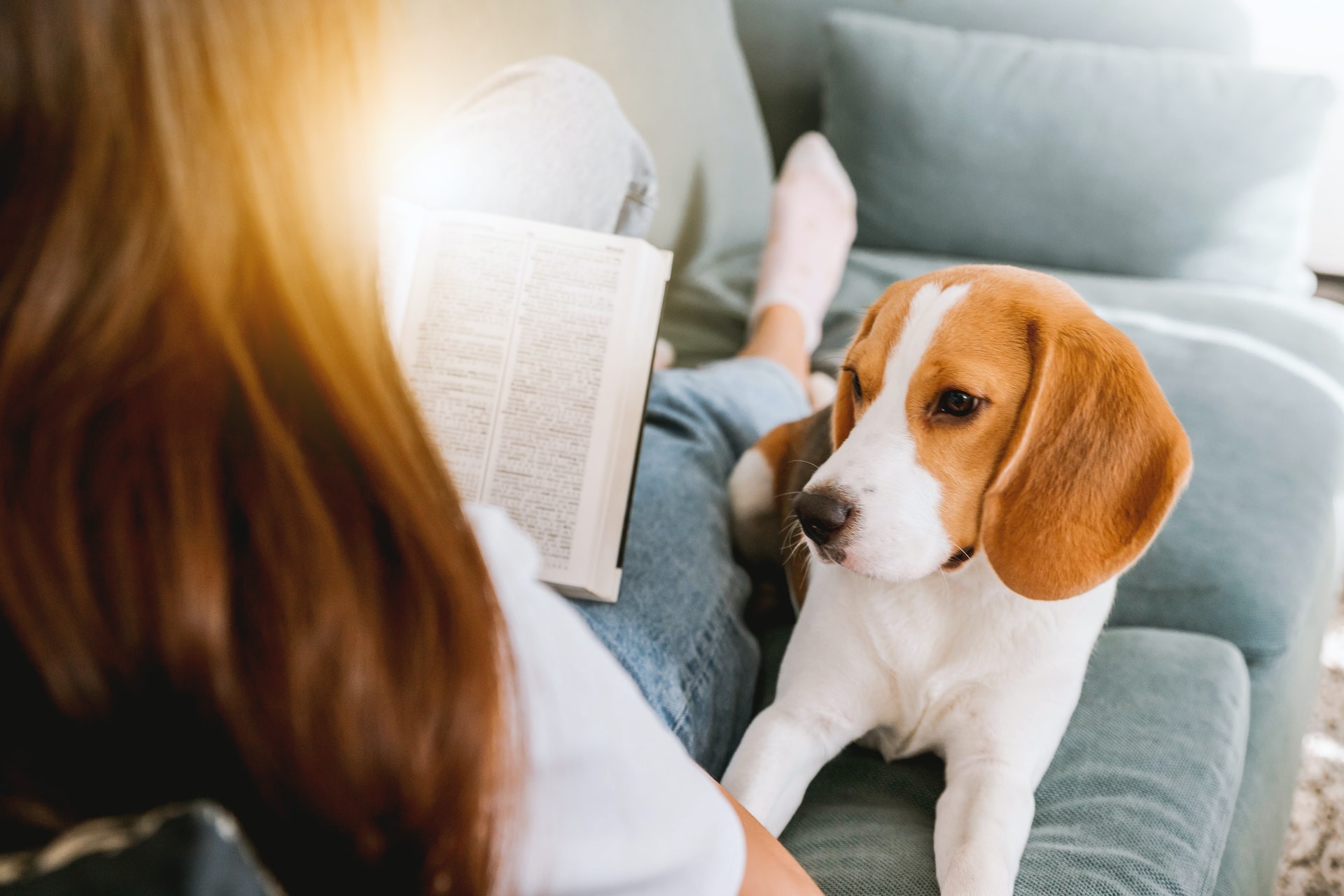 dog and girl reading book